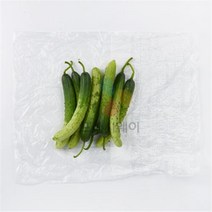 다다기오이 (상품 1kg)