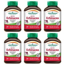 자미에슨 에키나시아 Echiea 1200mg 120정 x6