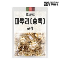 [조은약초] 국내산 건조 파뿌리 파뿌리차 총백 대파차 300g, 상세 설명 참조, 상세 설명 참조