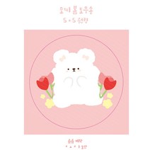 모찌 봄 도무송