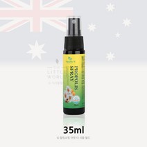 헬스앤 호주산 프로폴리스 스프레이 35ml 폴라보노이드 환절기 목감기 필수 healthN Propolis spray 감기예방, 1개