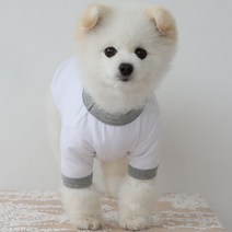 럭키페터 링거 강아지 옷 소형견 대형견 티셔츠 화이트 시리즈, 화이트/그레이