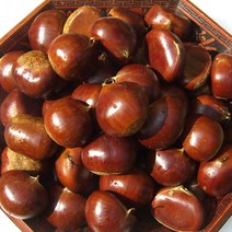 칠갑산 유기농 알밤 대보밤(특) 2kg 2022년 햇밤, 1박스