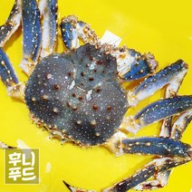 레드킹크랩 활킹크랩 3.5k내외 1마리 (활/찜 선택가능), 활배송