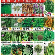 각종 민속 채소 특수 씨앗 모음 도라지 더덕 냉이 산마늘 고수 곰취 나물 약초 씨 종자 모음, 셀러리, 1개
