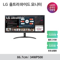 LG전자 86.7cm WFHD 울트라 와이드 모니터, 34WP500