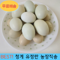 친환경 무항생제 자연방사 청란 청계란 유정란 농장직송 천상의컬렉션, 1개, 40구