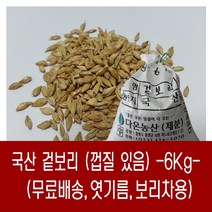 [다온농산] 2022년산 국산 겉보리 -6Kg- 보리차 엿기름등