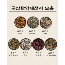 국산 한약재 100g 한방 재료 진피 인진쑥 강활 택란쉽싸리 작약 산수유 오가피껍질, 07.국내산 오가피껍질 100g