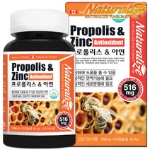 네추럴라이즈 캐나다 프로폴리스캡슐 아연 90캡슐 2통 6개월분 항산화 면역 영양제, 45g