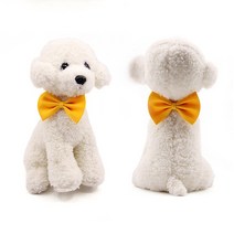 QS 강아지 고양이 나비넥타이 스카프 케이프 5색상, 1개, 세트