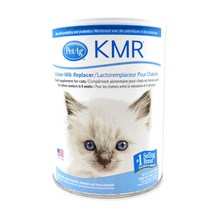 펫에그 고양이 KMR 파우더 초유 분유 정품, 340g x 1개