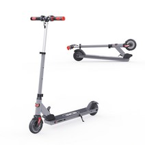 RCB HB21 접이식 전동킥보드, 회색