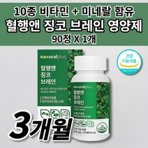 두뇌 건강 머리 뇌 세포 혈관 확장 혈액순환 혈행 기억력 기능 저하 개선 노화 예방 에좋은 식품 음식 식약처인증 은행잎추출물 10종 멀티 비타민 미네랄 징코 브레인 영양제 90정, 1개