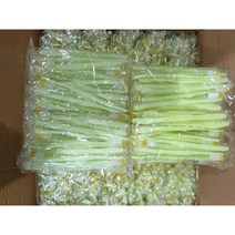 일회용칫솔 프리미엄 1000개입 1박스(마사지 목욕탕 사우나용), 1000개 1박스