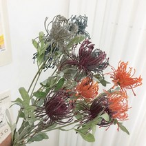 부카즈 긴 가지 방크샤 - 미모사 열매 인테리어 소품 조화 모던하우스 도매 꽃 작약 인조 나무, 그레이