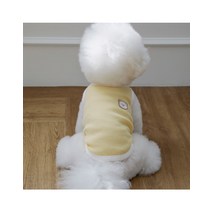 둥둥이 와플 강아지니트조끼 루앤담, XL, 그린