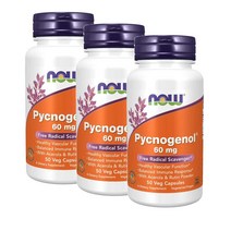 나우푸드 피크노제놀 60 mg 아세로라 루틴 파우더 50정 NOW Pycnogenol 60 mg with Acerola Rutin Powder, 3팩