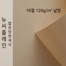뉴씨플레인 종이문화 얇은 양면색지 120g 16절 낱장 1매 No.56 굴색, 1장