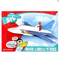 콘덴서 비행기 에어로 스페이스 T-50 행글라이더 조립 장난감 어린이 캠핑장 야외 놀이