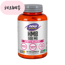 JHC[구매대행] 나우푸드 NowFood HMB 500mg 120캡슐 1통, 1개, 120정