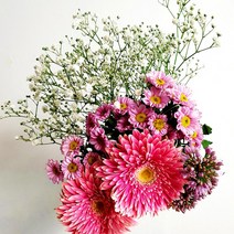 질레트 퓨전파워 면도기+호환 면도날4입 8입 12입, 호환12입