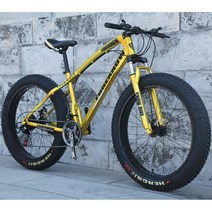산악 MTB 자전거 광폭타이어 팻바이크 30단 자출용 자전거, 30단(공구포함), 26인치, 골드