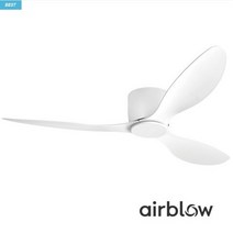 에어블로우 실링팬 C-2 DC모터 17cm 초슬림, 몸통:화이트+날개:블랙