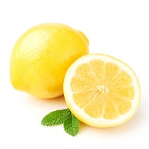 인기 있는 레몬소과 추천순위 TOP50 상품 리스트를 찾아보세요