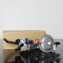 혼다 GX160 GX200 168F 170F 2KW 3KW 발전기 LPG/CNG 가솔린 이중 연료 기화기 Carb 용 변환 키트, 한개옵션0