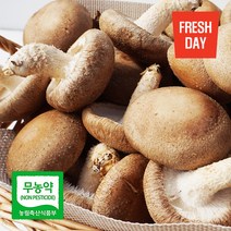 감칠맛일품 고창 생 표고버섯, 1박스, 정품 2kg