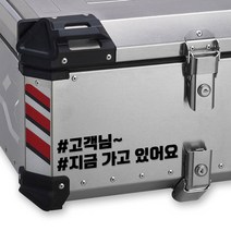 LINE CUT 오토바이 알루미늄 탑박스 배달통 문구스티커 데칼 BDT-0006, L, 홀로그램