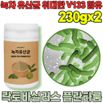 꼼꼼한 검수 통과한 자연이 주는 선물 락토 바실러스 플란 타룸 녹차 유산균 프락토 올리고당 위대한 V 133 녹자 우산균 위산균 유신균 프로바이오틱 가루 파우더 분말 파는곳 추천, 2