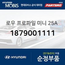 로우 프로파일 미니 25A 퓨즈 (1879001111) 현대모비스 부품몰 벨로스터 엑센트 제네시스 맥스크루즈