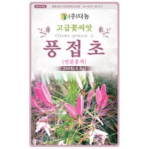 기생초 선홍색 200립 - 야생화 꽃씨 씨 씨앗 국화 꽃씨앗 야생화씨앗 고급꽃씨 고급꽃씨앗, 18_다농_풍접초(연분홍색)(0.5g)