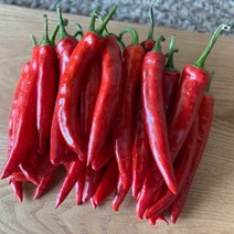 일등야채 홍고추 1kg, 1개