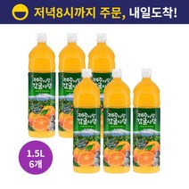 롯데칠성음료 제주사랑 감귤사랑 1.5L x 6개 제주감귤쥬스 귤주스 과일주스 감귤주스 사무실 간식 과일 과즙 피크닉 음료, 제주사랑 감귤사랑 1.5L x 6개/