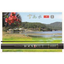 천류 설화수스페셜3 20~30칸 민물낚시대 붕어낚시대, 22