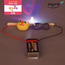 전해질 원리 점토 전지 회로 키트 5인 과학기자재 과학키트 고등과학 실험기구 실험실 초등학교과학 교구