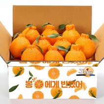 올탑농원 제주직송 당도선별 한라봉4.5Kg중소과(벌크), 단품