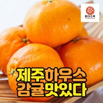 제주 서귀포 효돈 하우스 감귤 밀감 새콤달콤 하우스귤 농장 산지직송, 하우스감귤 10kg