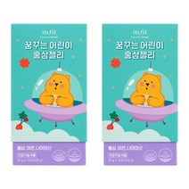 잇츠핏 꿈꾸는 어린이 홍삼젤리 스틱 20g x 15포, 2개