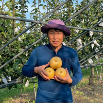 [프리미어농짱] 익산 산지직송 으뜸 당도 배 원황 화산 신고 5kg 7.5kg, 7. 신고 배 5kg(6-8과)