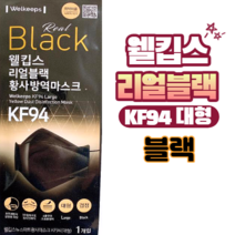 웰킵스 리얼블랙 황사방역마스크 KF94 대형 블랙, 30장 (1박스)
