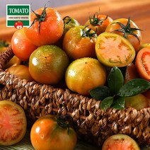 [부산산지직송] 대저토마토 2kg x 2박스(총4kg/대/개당170-240g)