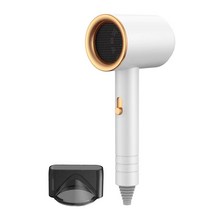 스마트 항온 드라이기 BLP-HD415W, 흰색