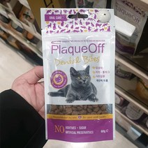 플라그오프 고양이 덴탈 바이트 60g, 단품