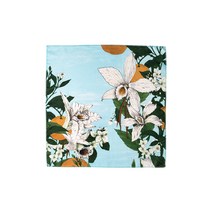 LUSH 러쉬 바닐라리 - 낫랩 / 선물 포장 264715