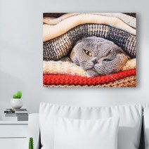 귀여운 고양이 사진 캔버스액자 (고객님 야옹이 사진으로도 제작 가능합니다), CAT03