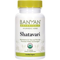 반얀보타니 SHATAVARI 샤타바리 유기농 아스파라거스 90정, 1개, 기본